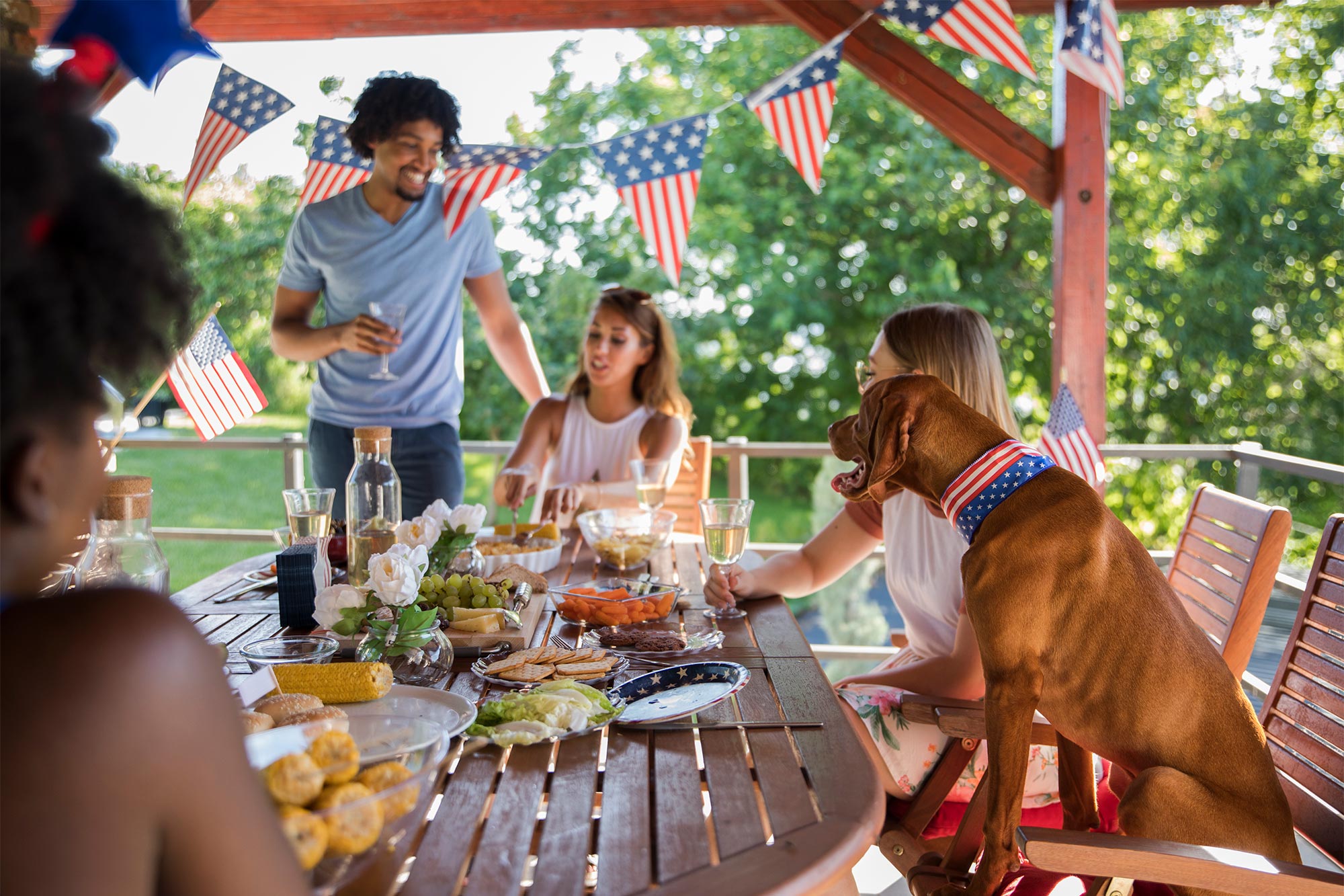 4th of July Pet Safety Tips