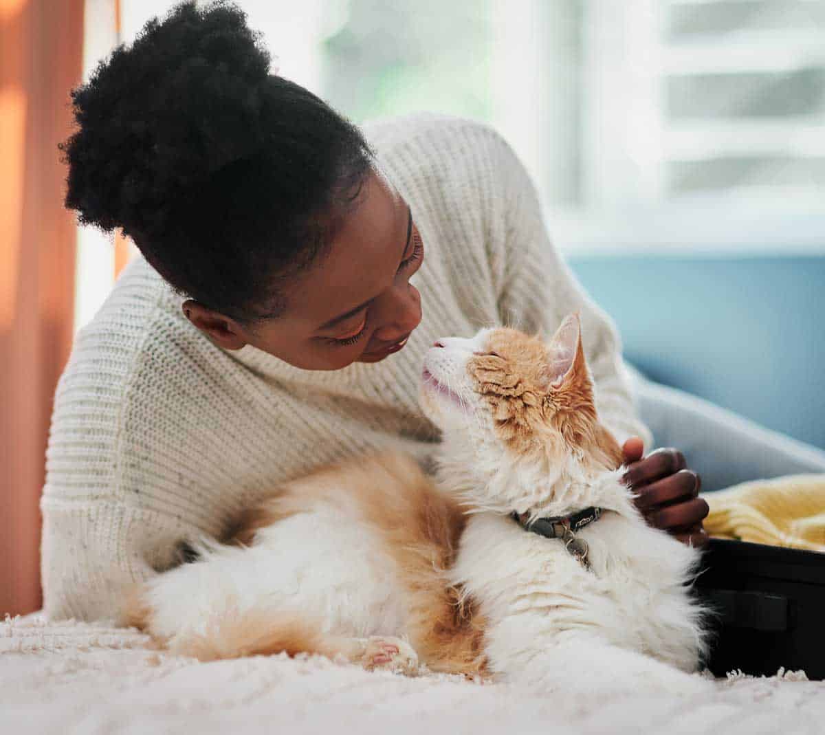 A person cuddling their cat