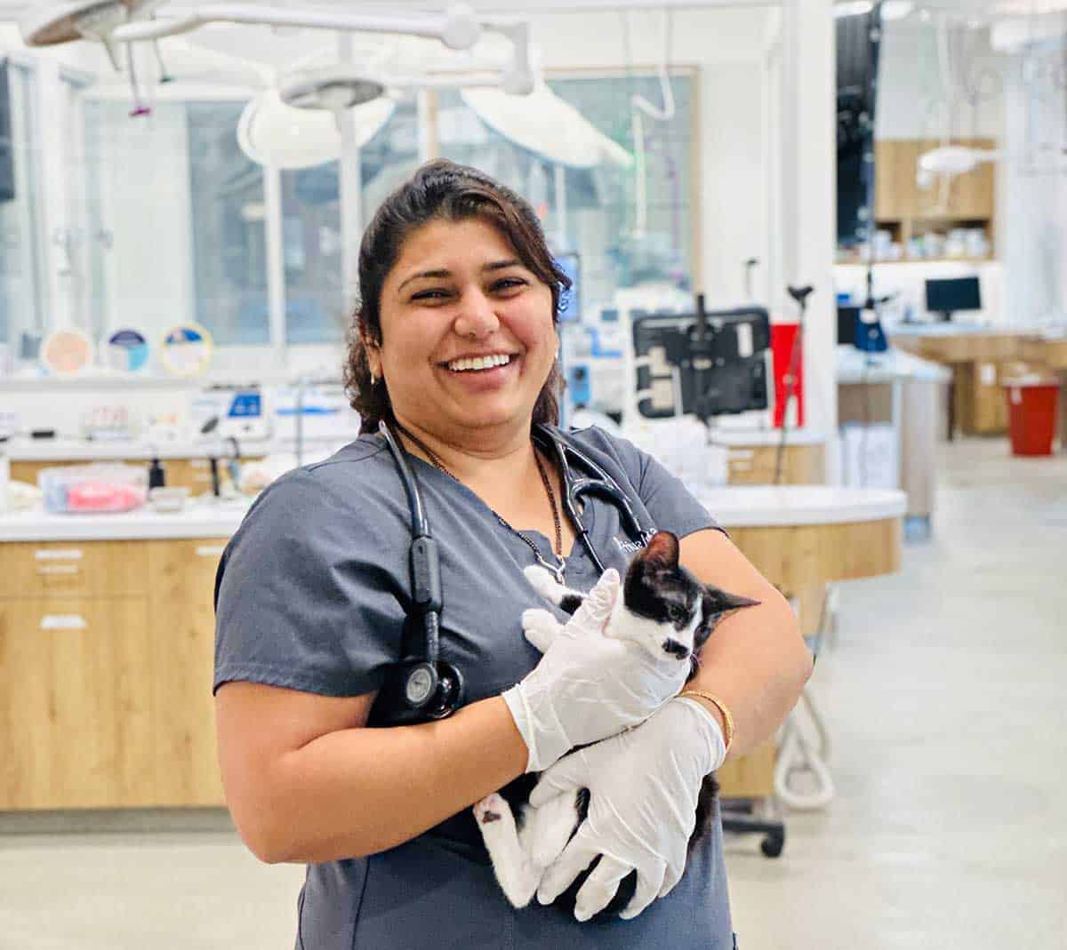 Our vet with a feline patient