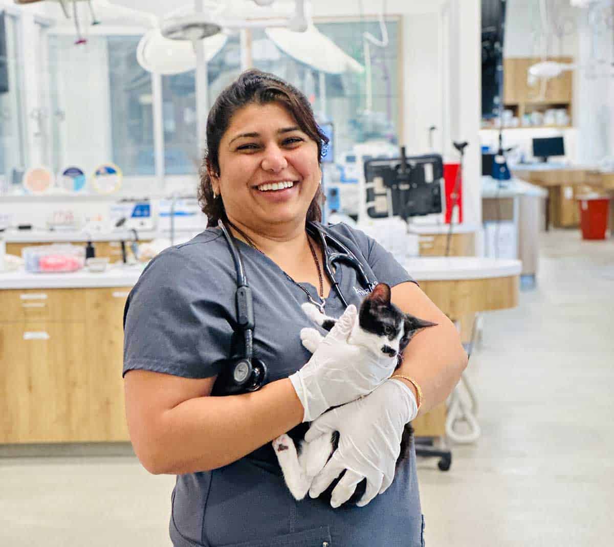 Dr. Thakkar with a feline patient