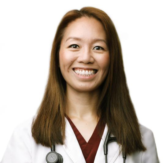 Barbara  Ferber, DACVECC, Criticalist, Emergency Medicine 
